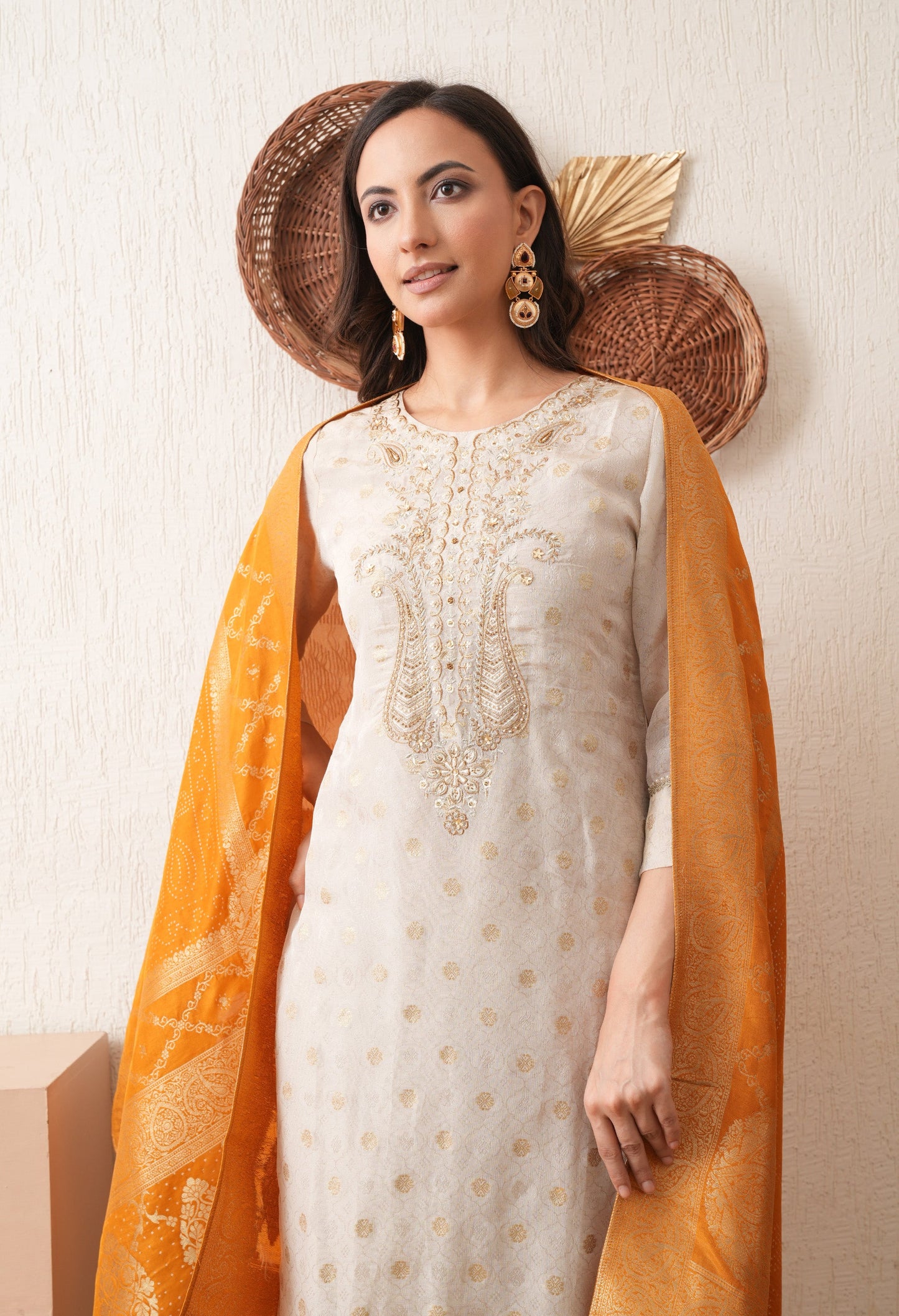 Beige Banarasi Zari Elegance Suit